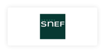 Groupe SNEF logo